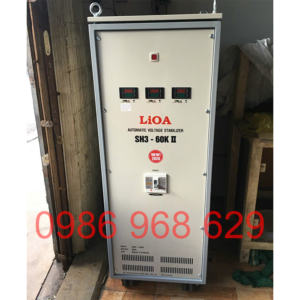cach-lap-dat-on-ap-lioa-3-pha-60kva